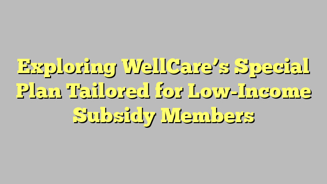 Exploring WellCare’s Special Plan Tailored for Low-Income Subsidy Members